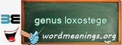 WordMeaning blackboard for genus loxostege